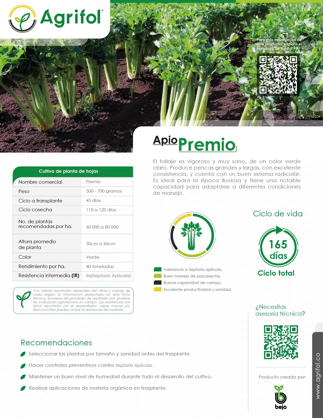 Ficha técnica Apio Premio - Página 1
