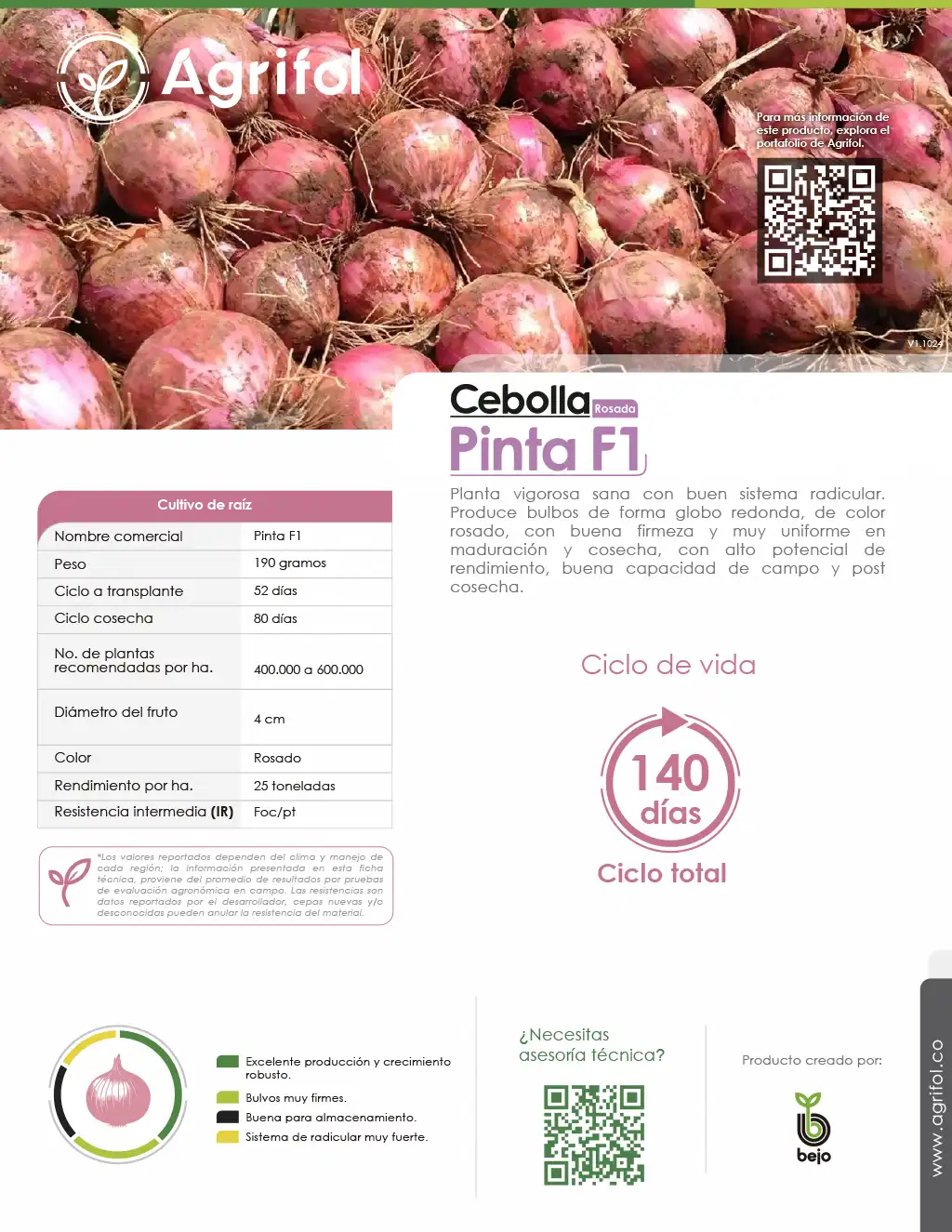 Ficha técnica Cebolla Itaparica F1 - Página 1