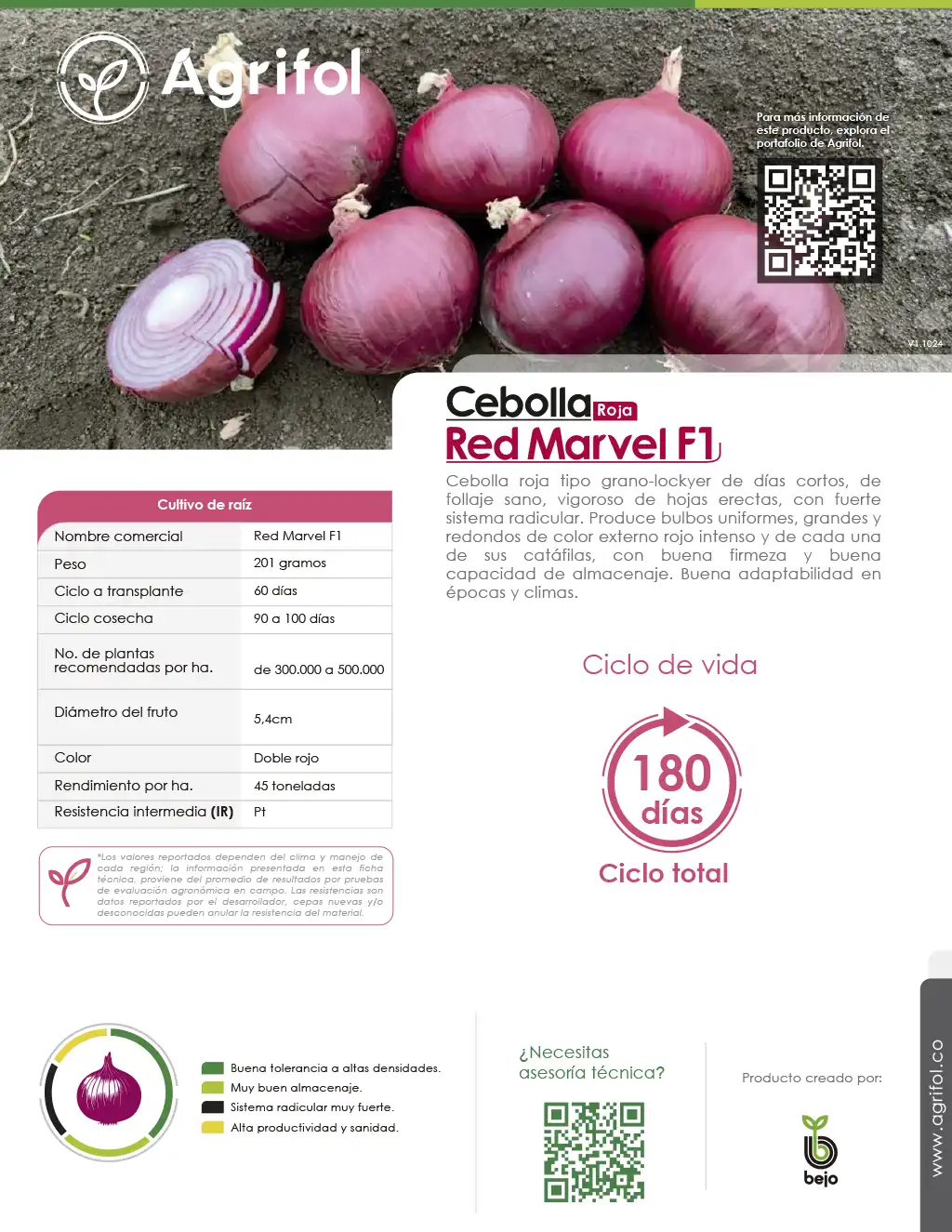 Ficha técnica Cebolla Red Marvel F1 - Página 1