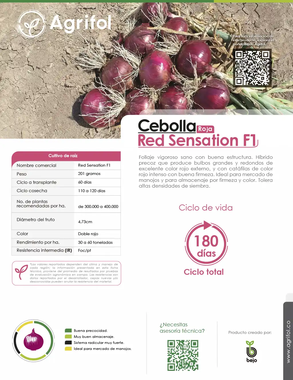 Ficha técnica Cebolla Red Sensation F1 - Página 1