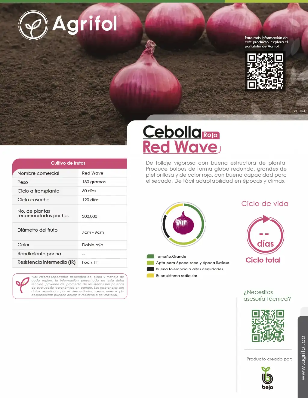 Ficha técnica Cebolla Red Wave - Página 1