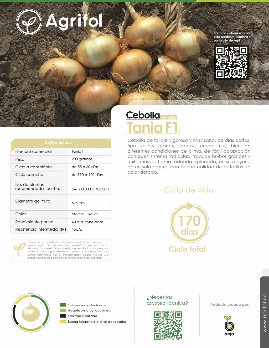 Ficha técnica Cebolla Tania F1 - Página 1