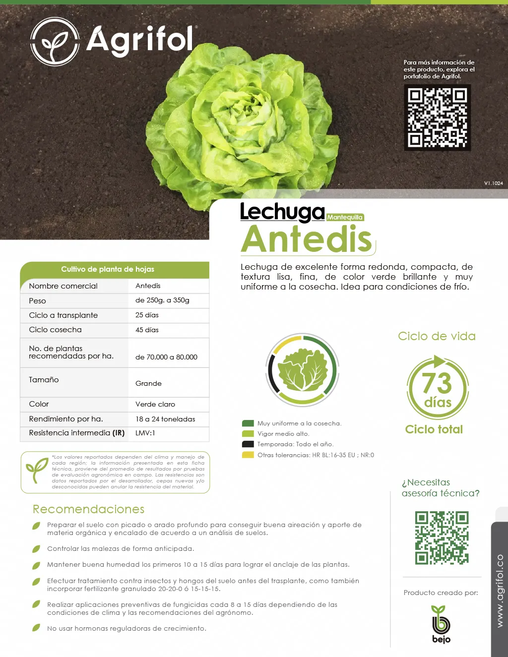 Ficha técnica Lechuga Antedis - Página 1