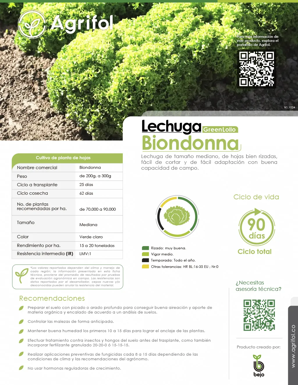 Ficha técnica Lechuga Biondonna - Página 1