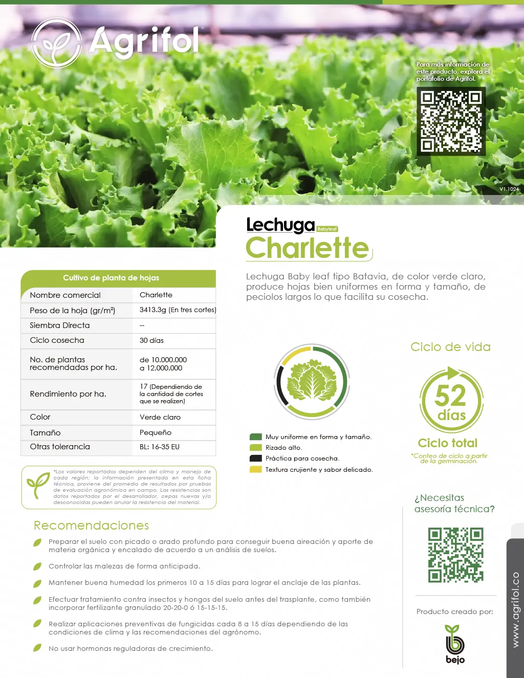 Ficha técnica Lechuga Babyleaf Charlette - Página 1