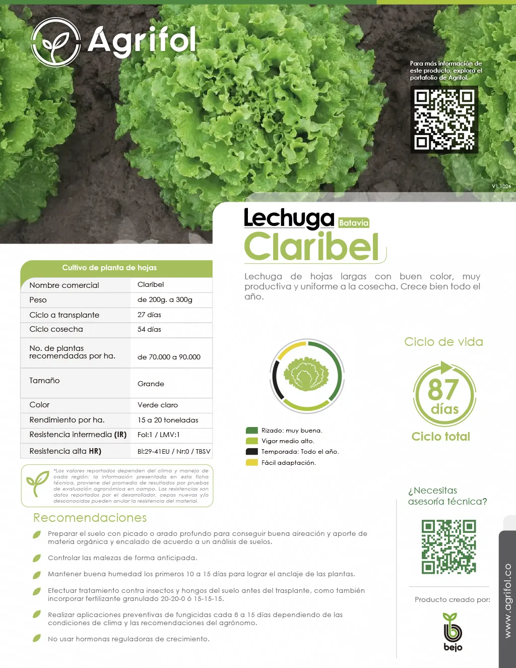 Ficha técnica Lechuga Claribel - Página 1