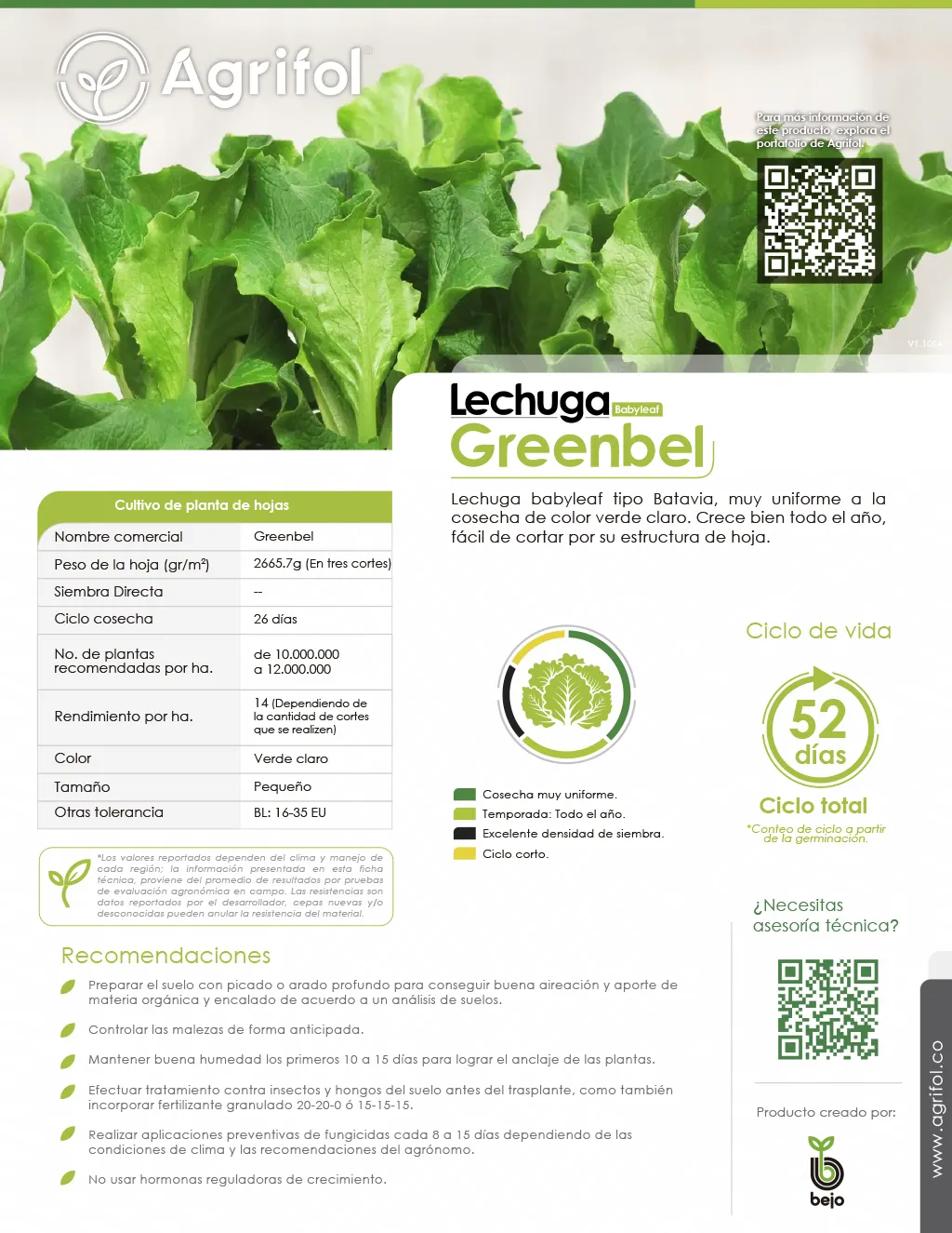 Ficha técnica Lechuga Babyleaf Greenbel - Página 1
