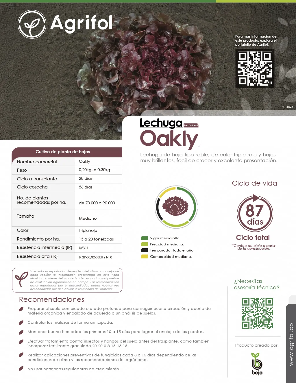 Ficha técnica Lechuga Oakly - Página 1