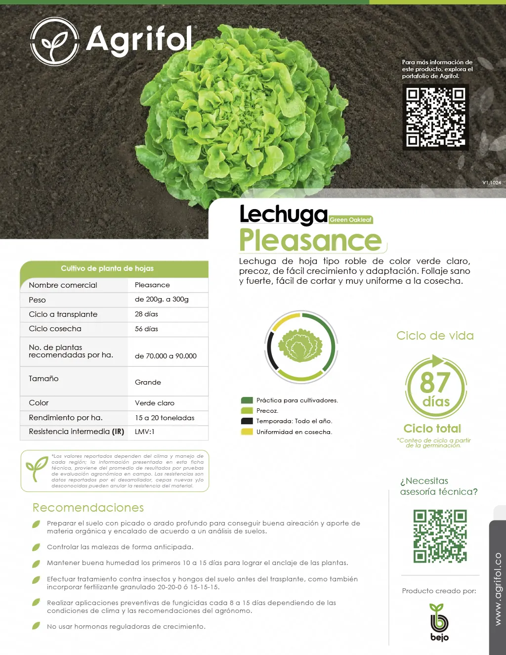 Ficha técnica Lechuga Pleasance - Página 1