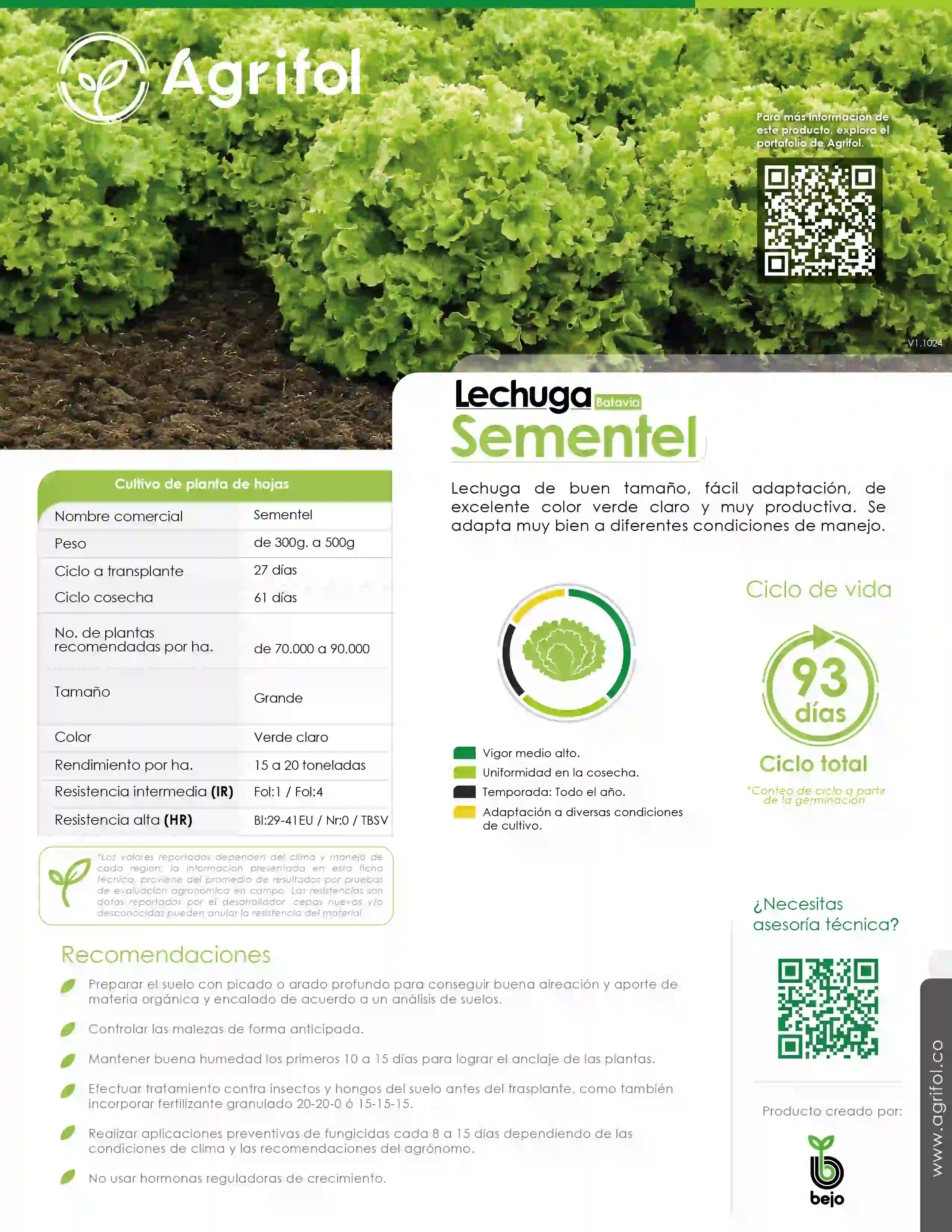 Ficha técnica Lechuga Claribel - Página 1