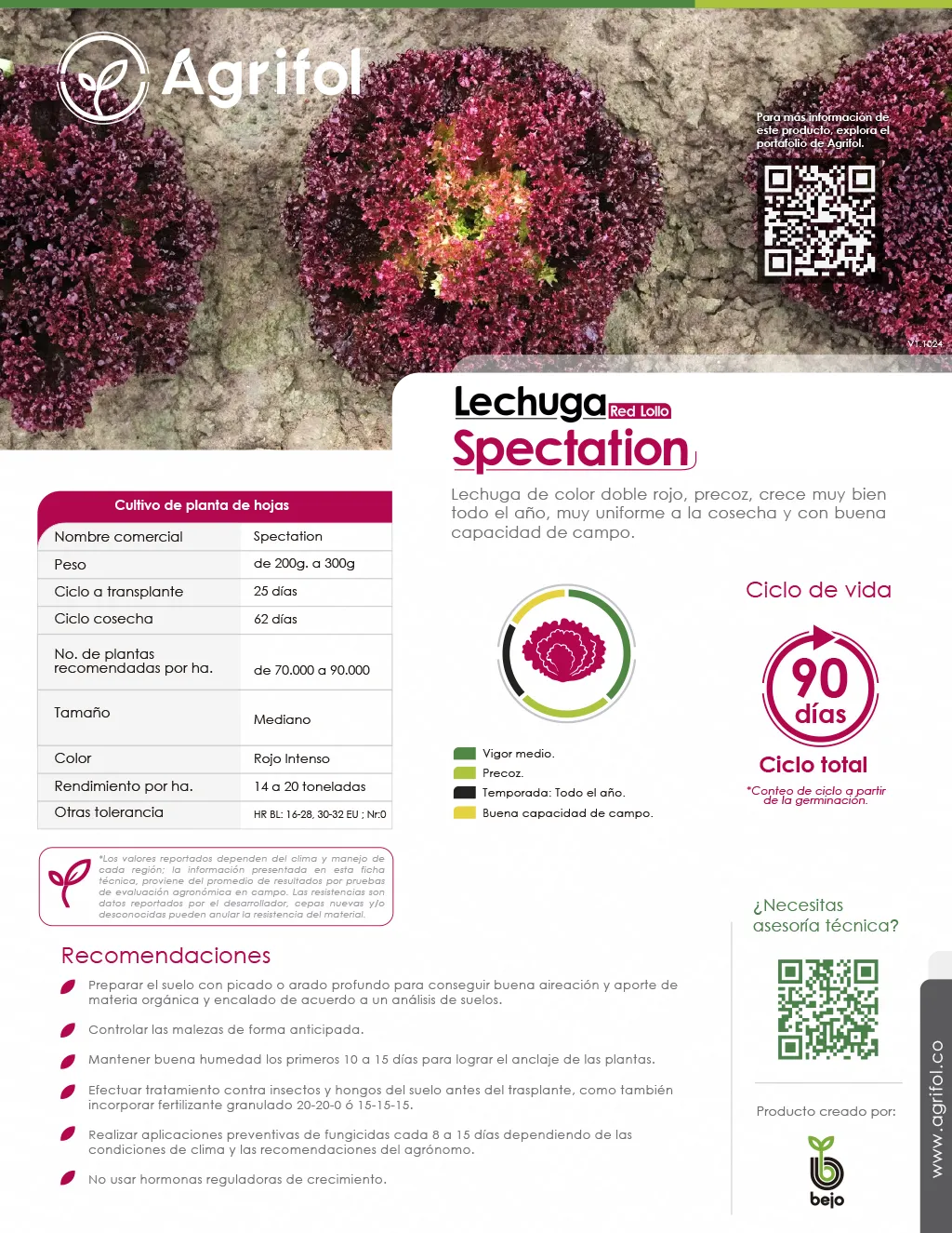 Ficha técnica Lechuga Spectation - Página 1