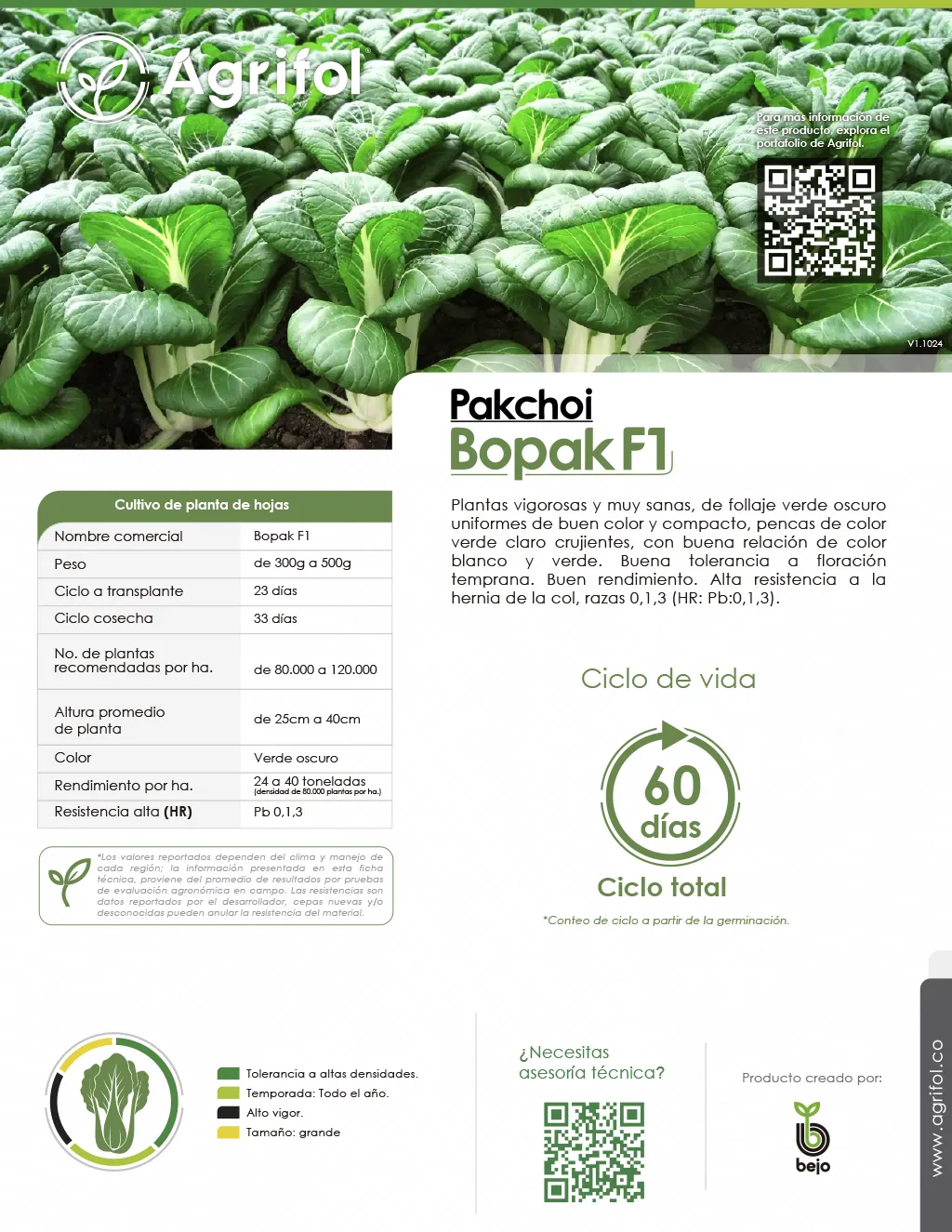 Ficha técnica Pakchoi Bopak - Página 1