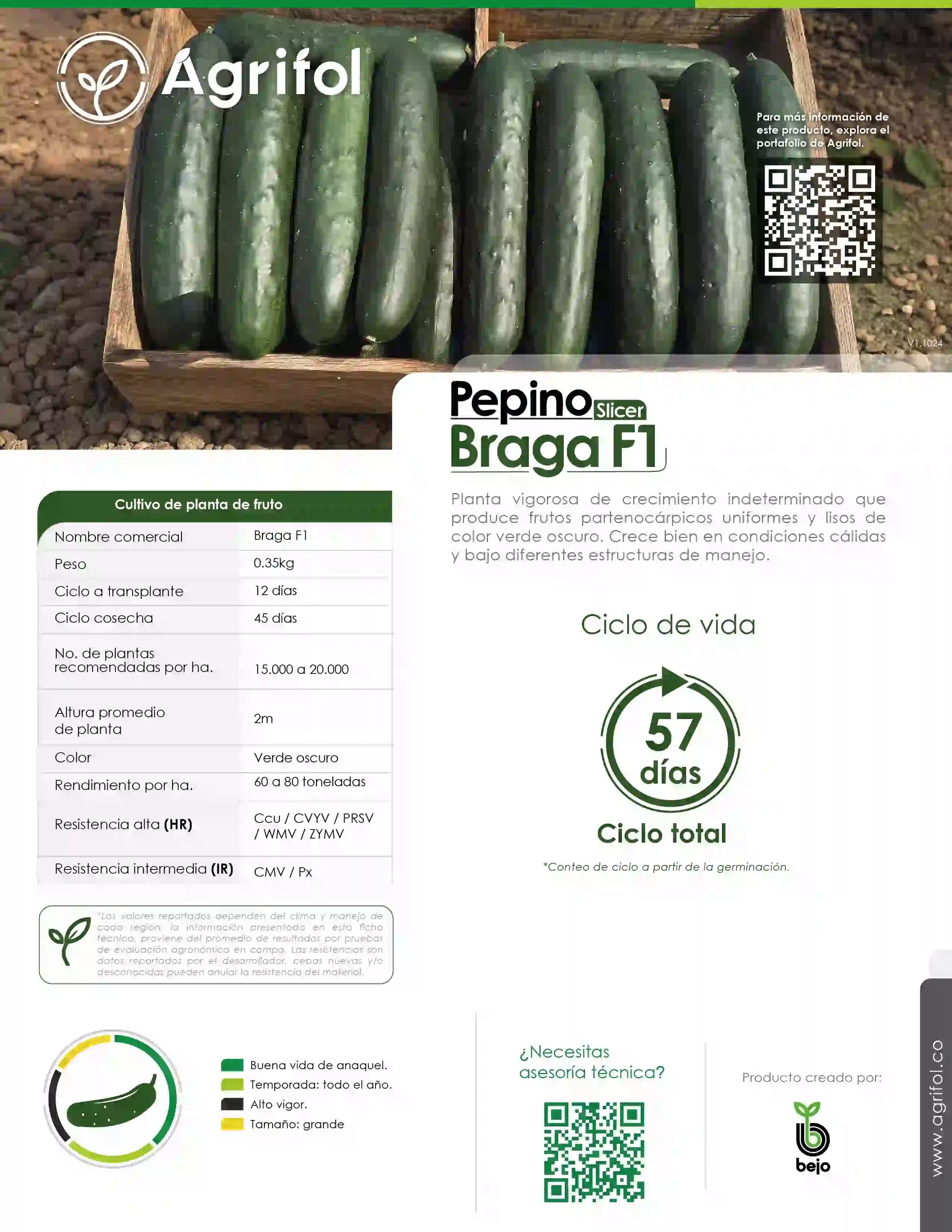 Ficha técnica Pepino Braga F1 - Página 1