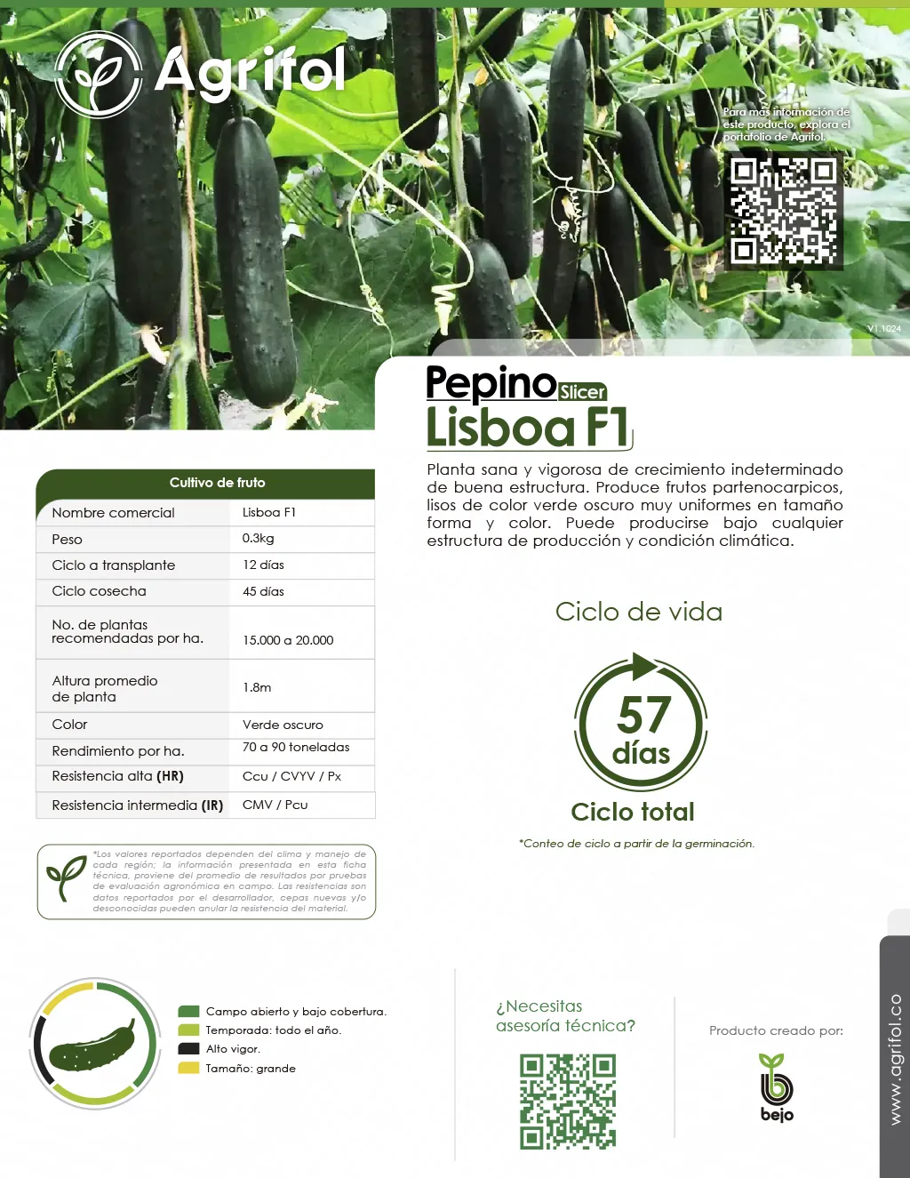 Ficha técnica Pepino Lisboa F1 - Página 1