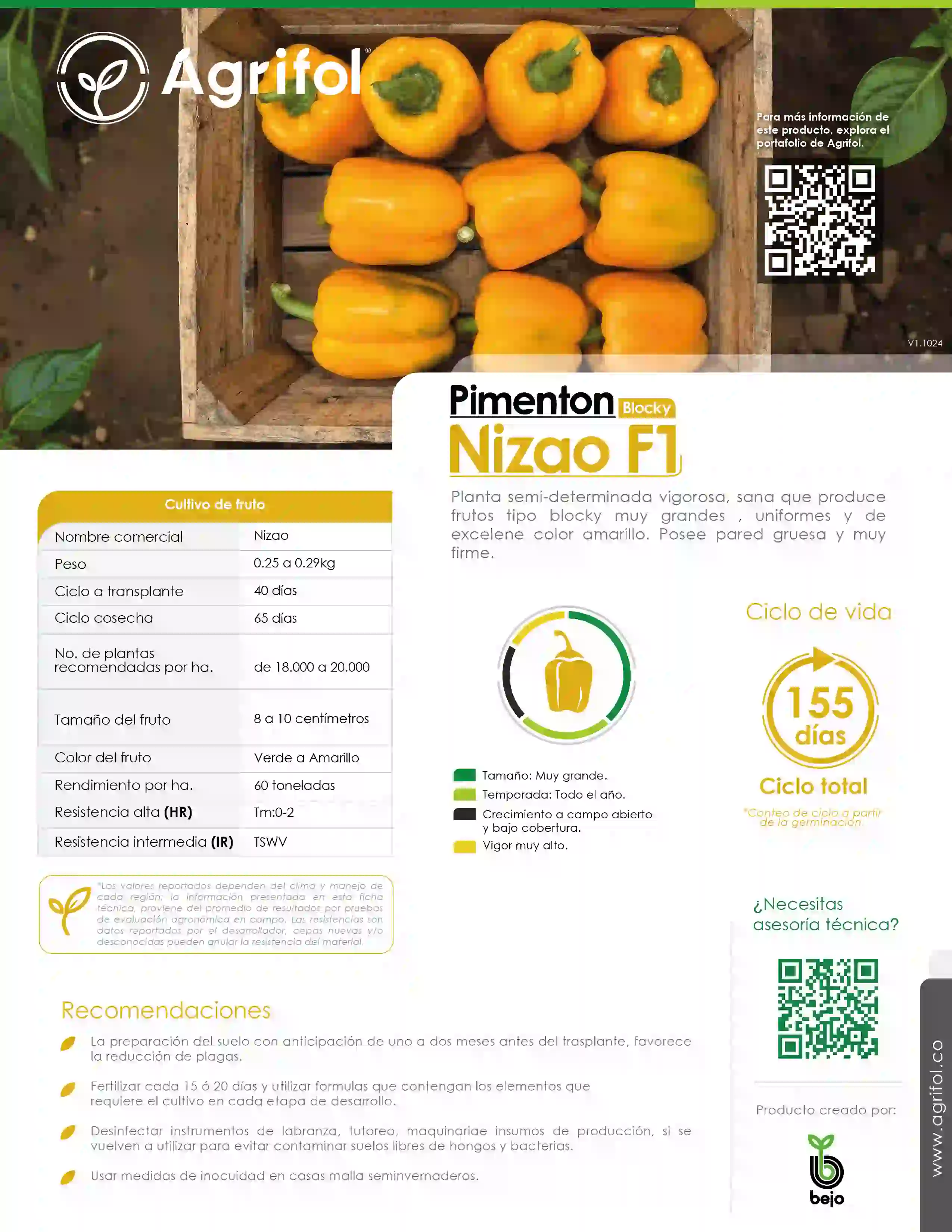 Ficha técnica Pimentón Nizao F1 - Página 1