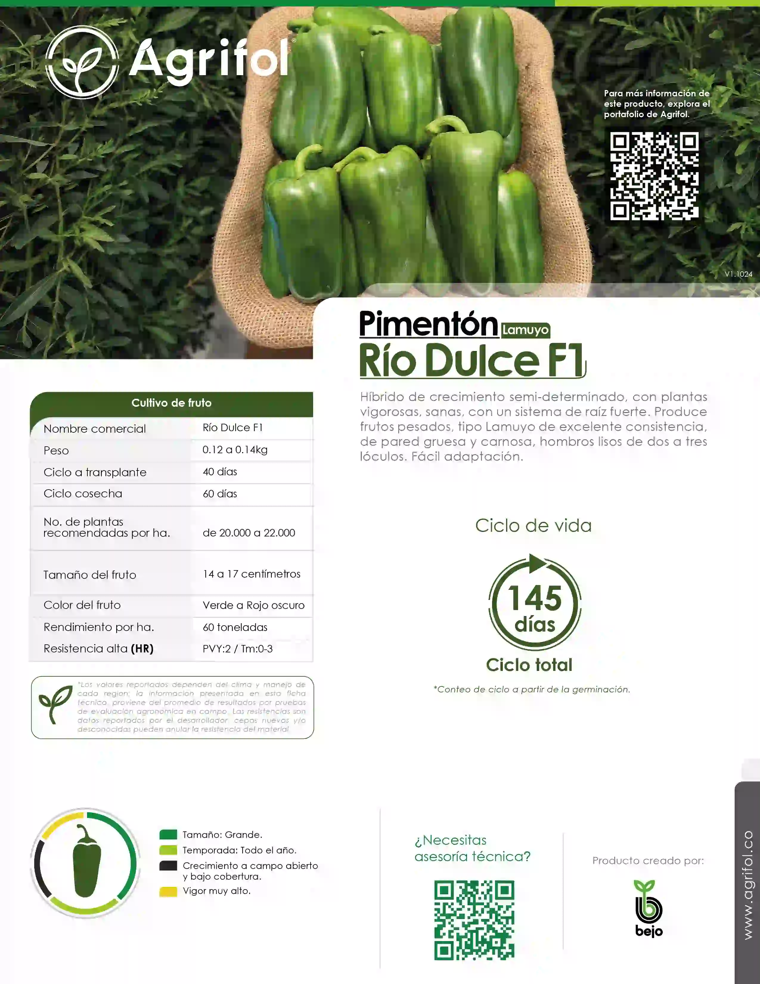Ficha técnica Pimentón Río Dulce F1 - Página 1