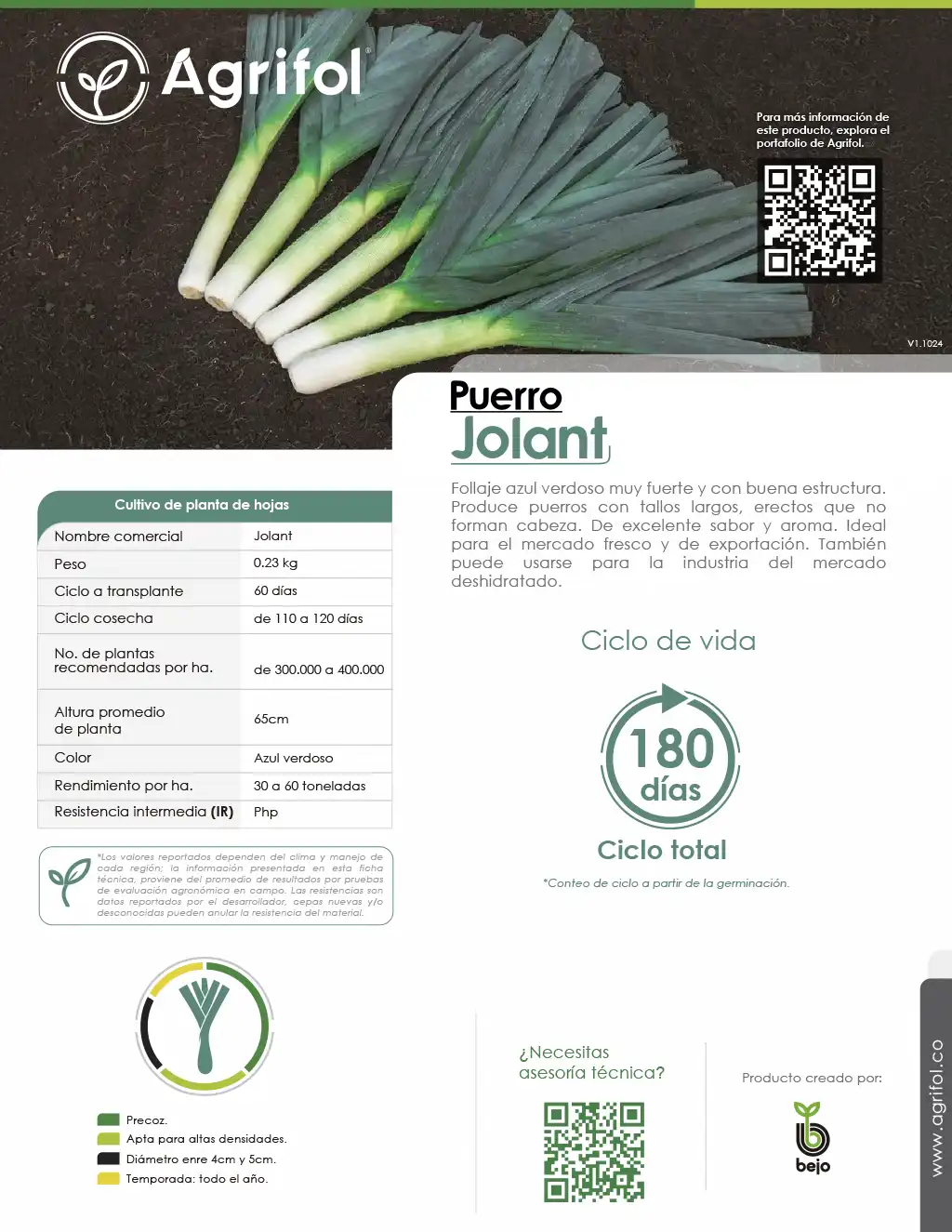 Ficha técnica Puerro Jolant - Página 1