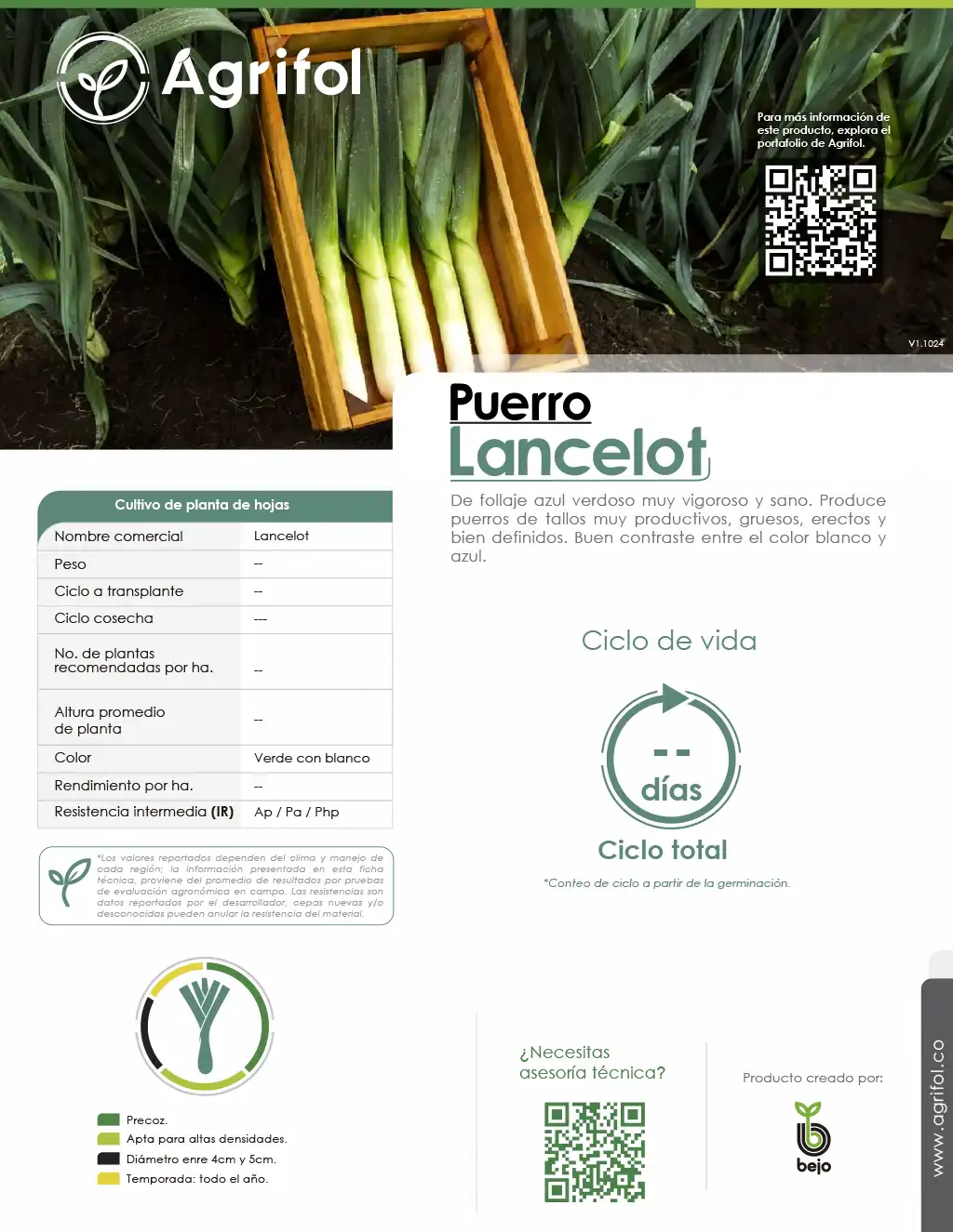 Ficha técnica Puerro Lancelot - Página 1