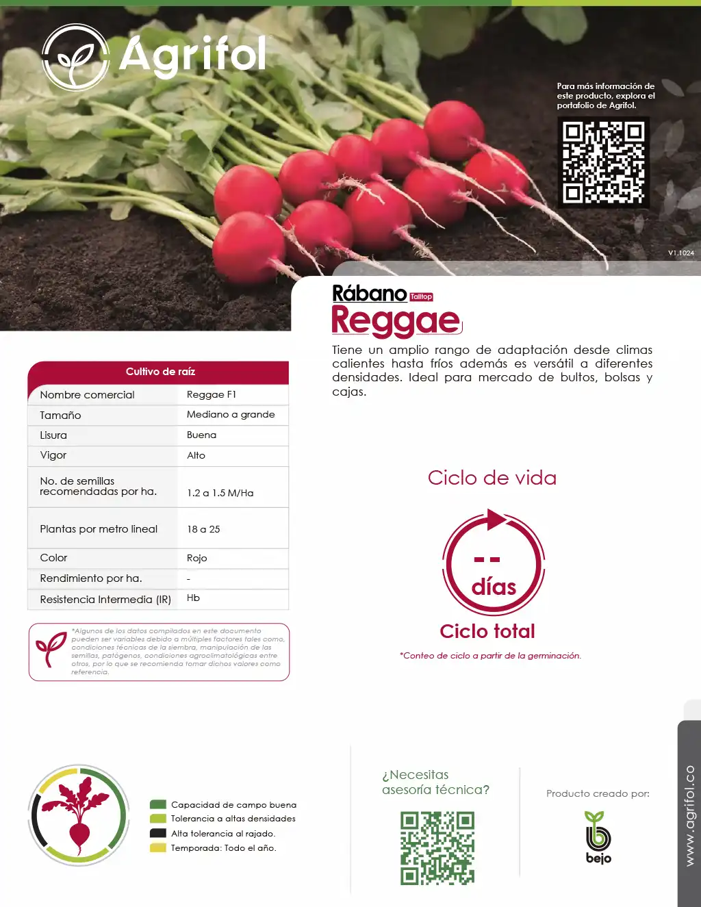 Ficha técnica Rábano Reggae - Página 1