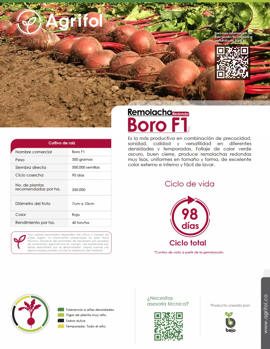 Ficha técnica Remolacha Boro F1 - Página 1