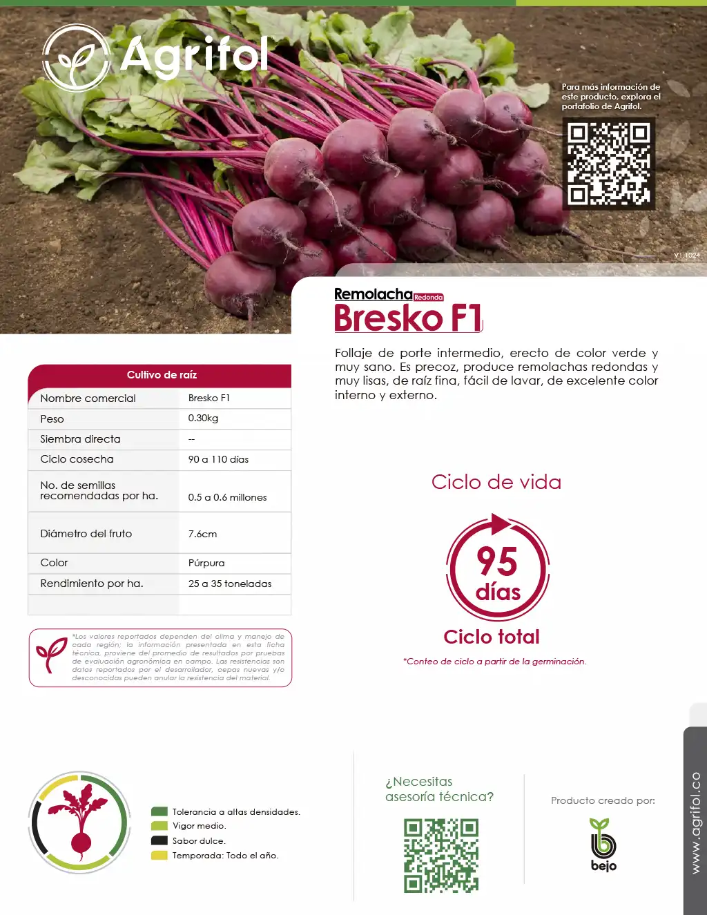 Ficha técnica Remolacha Bresko F1 - Página 1
