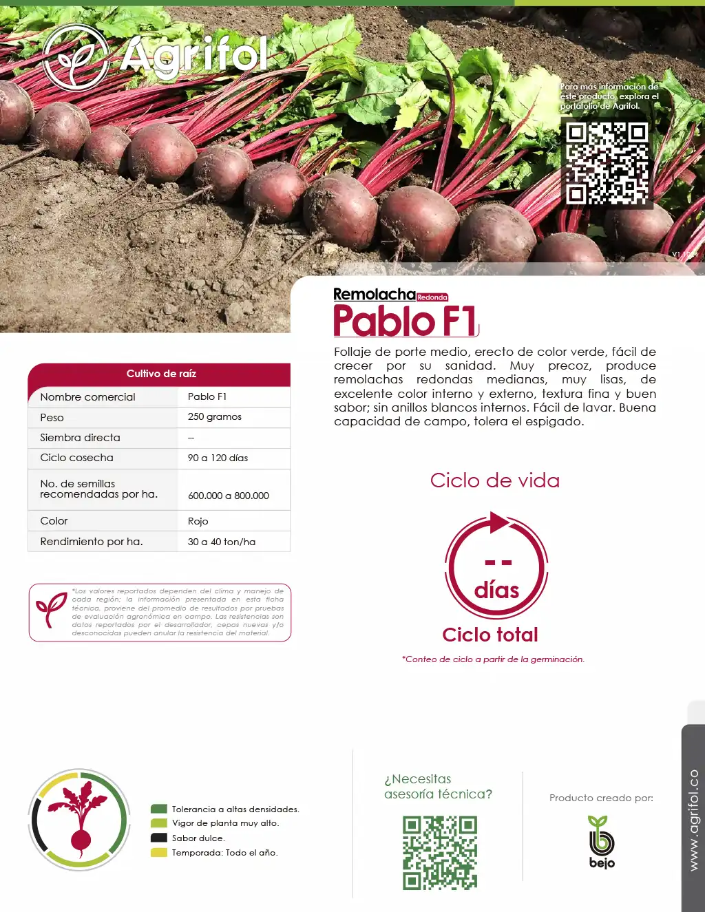 Ficha técnica Remolacha Pablo F1 - Página 1