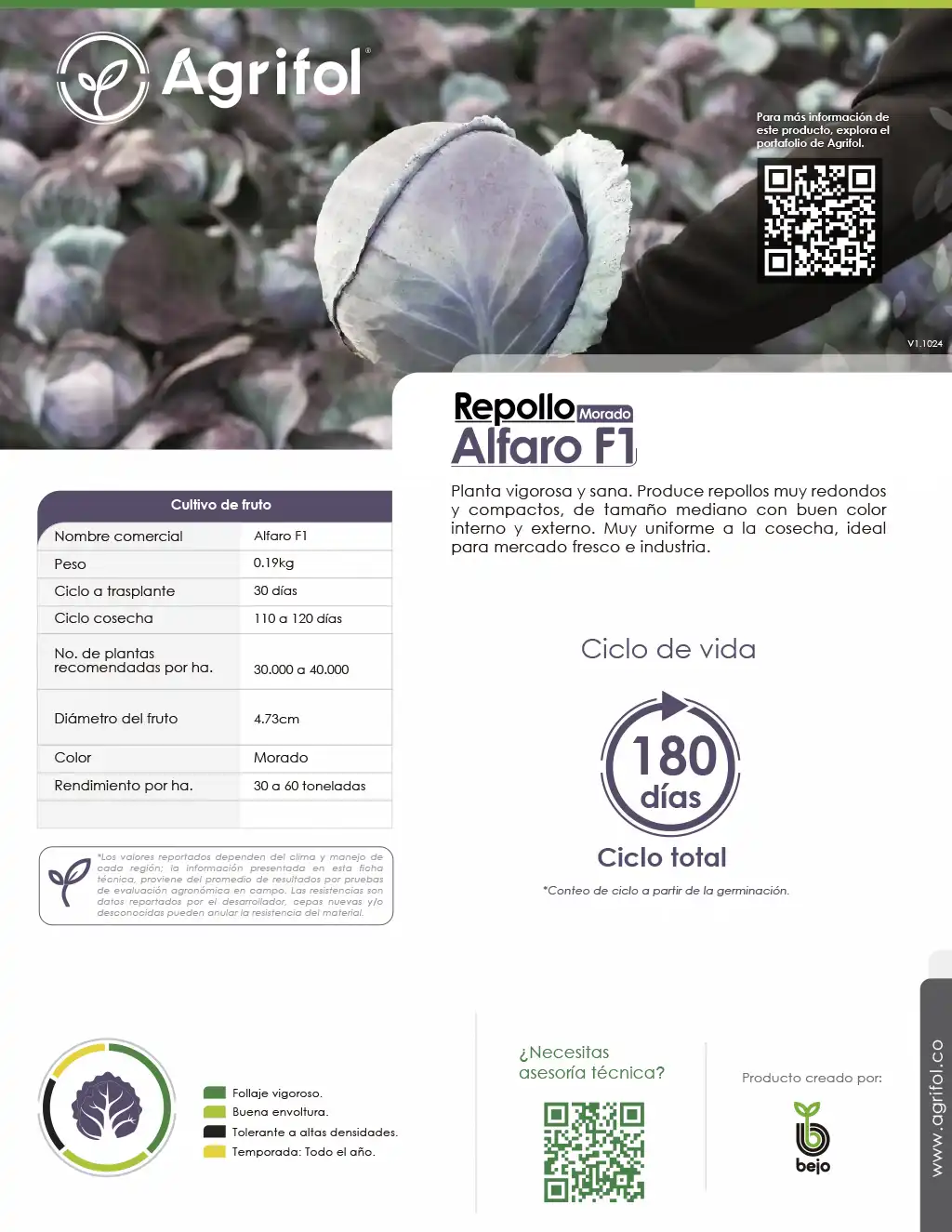 Ficha técnica Repollo Alfaro F1 - Página 1