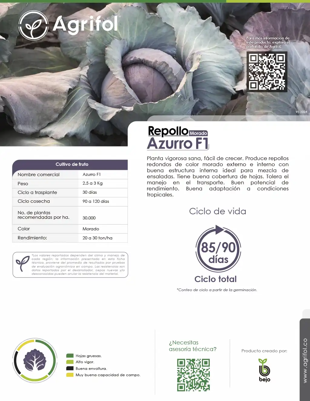 Ficha técnica Repollo Azuro F1 - Página 1