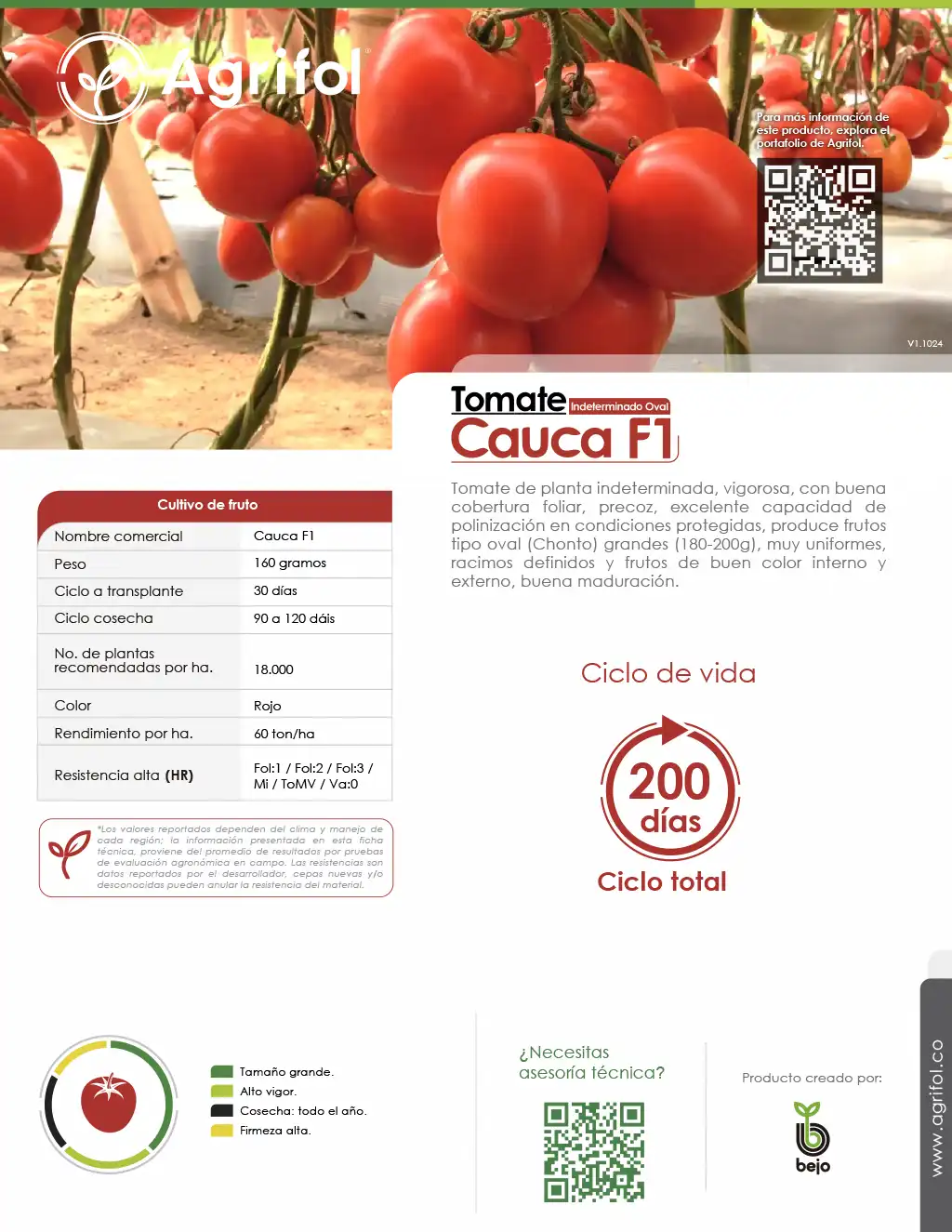 Ficha técnica Tomate Cauca F1 - Página 1