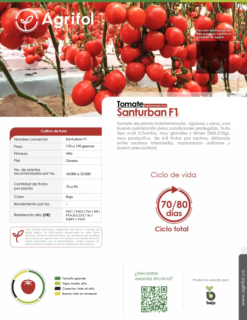 Ficha técnica Tomate Santurban F1 - Página 1