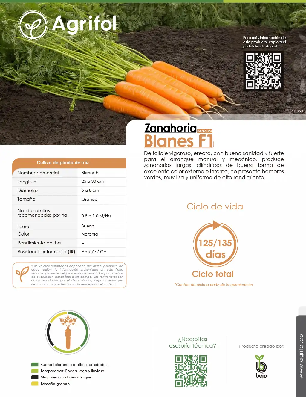 Ficha técnica Zanahoria Blanes F1 - Página 1