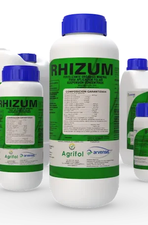 Rhizum aminoácidos nutrición vegetal Agrifol Colombia