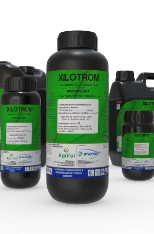 Xilotrom