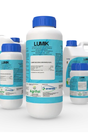 Lumik