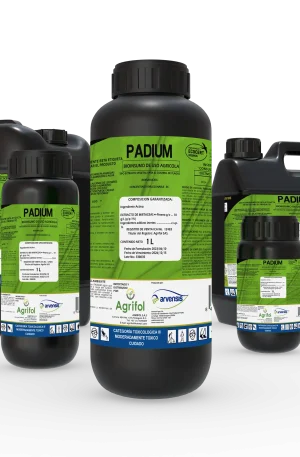 Padium
