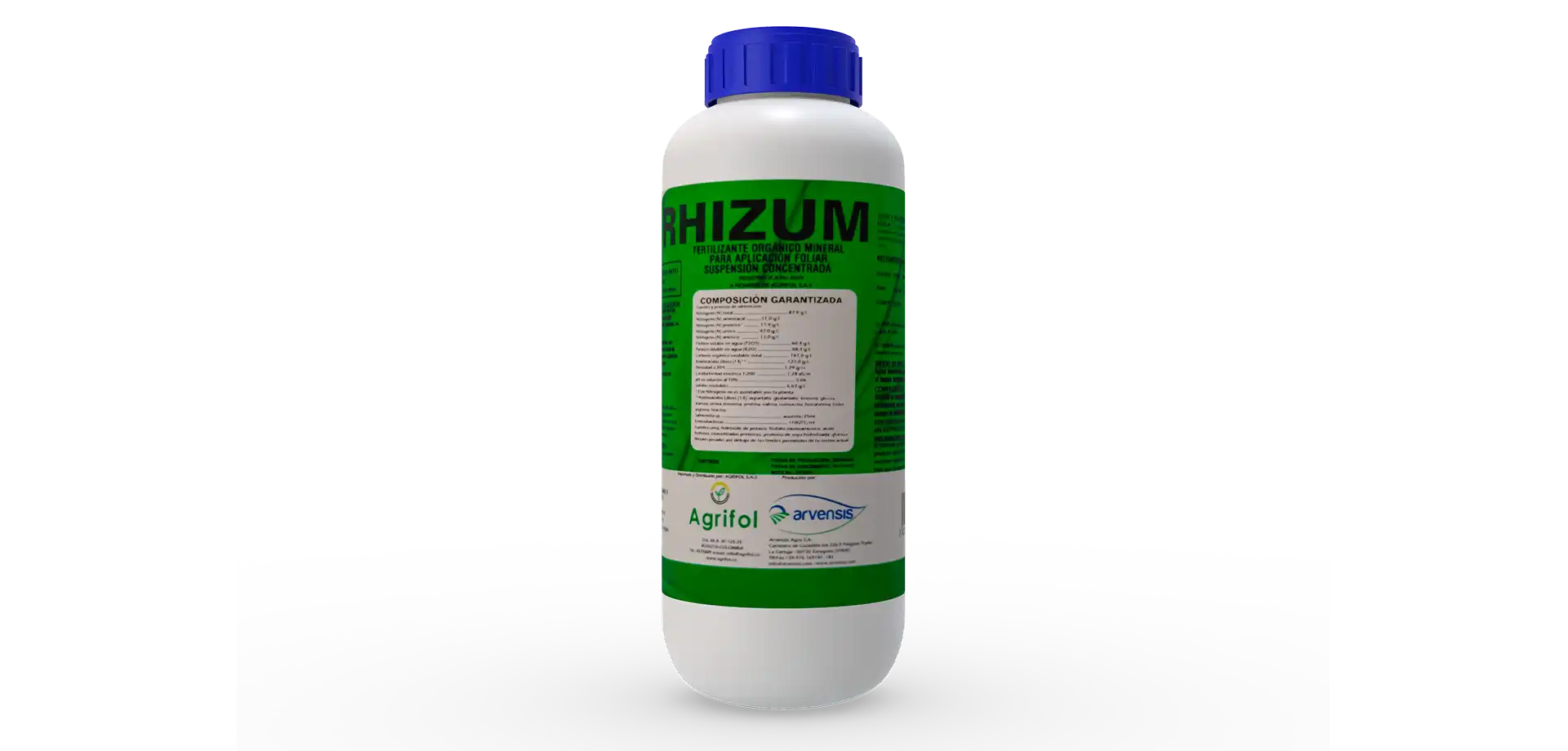 Rhizum